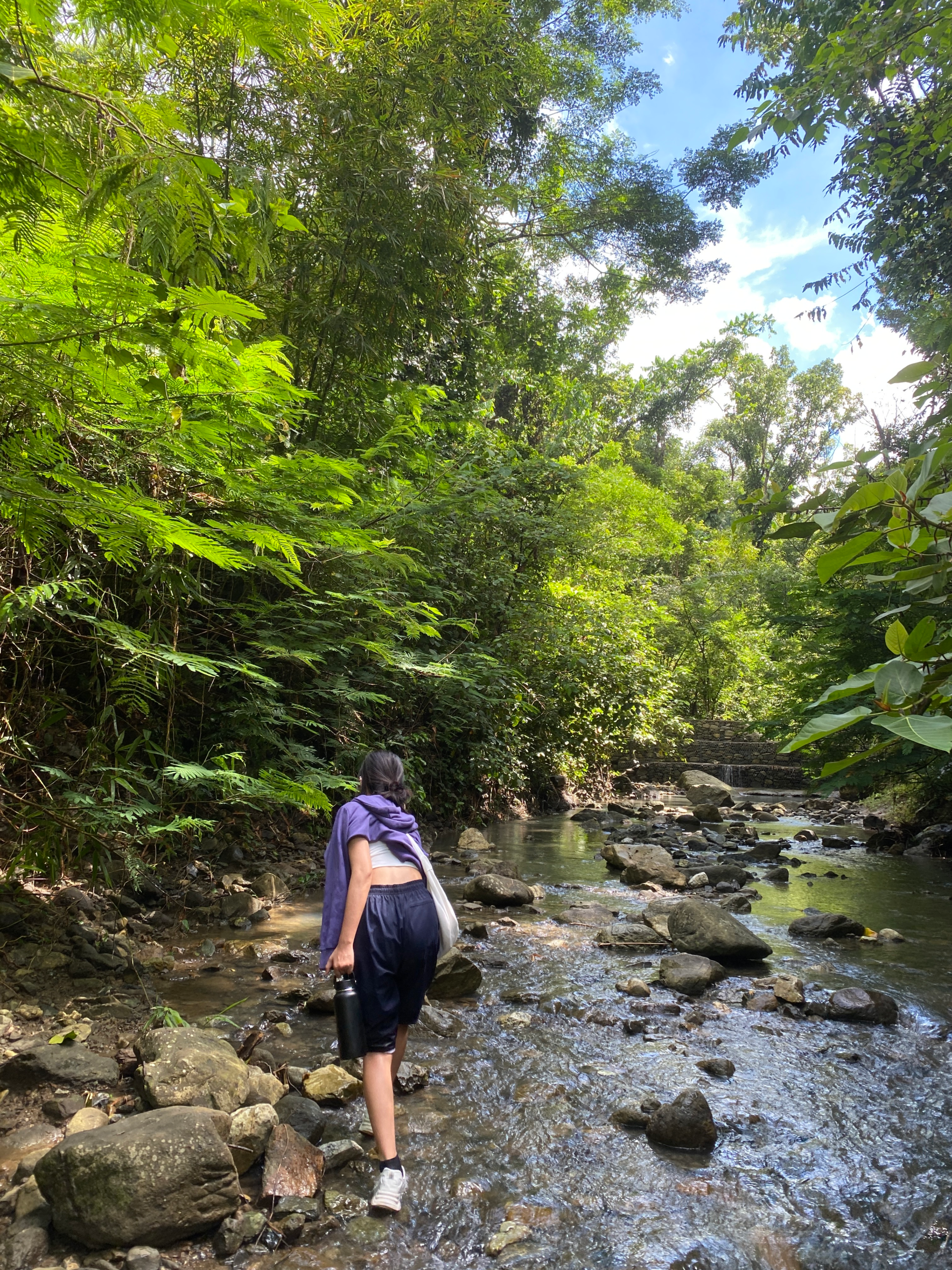 From Curiosity to Passion: My First Hike to Starbucks